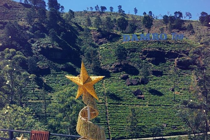 Half-Day Private Trip to Waterfalls and Tea Factory - Transportation Options