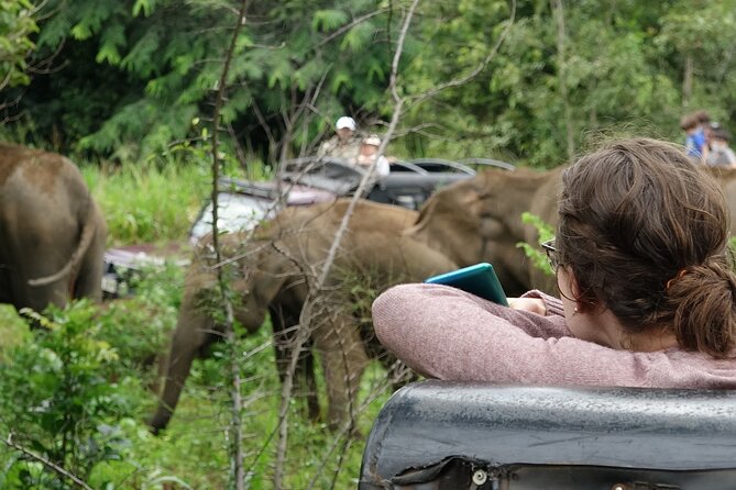 Half Day Safari Guided Tour - Daily Schedule