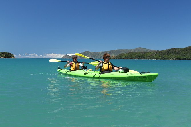 Half Day Sea Kayak Guided Tour From Picton - Physical Requirements