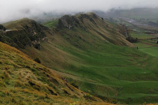 Half Day Sights and Tastes Tour in Napier - Transportation Details