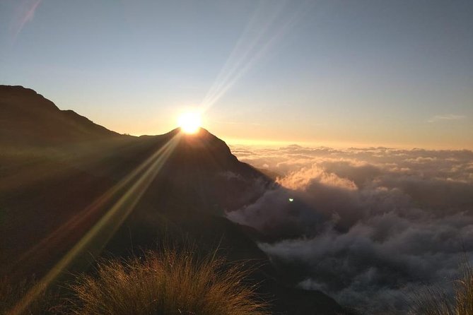 Half Day Sunrise Tour on Top Station, Munnar ( By Munnar Info) - Experience of the Tour