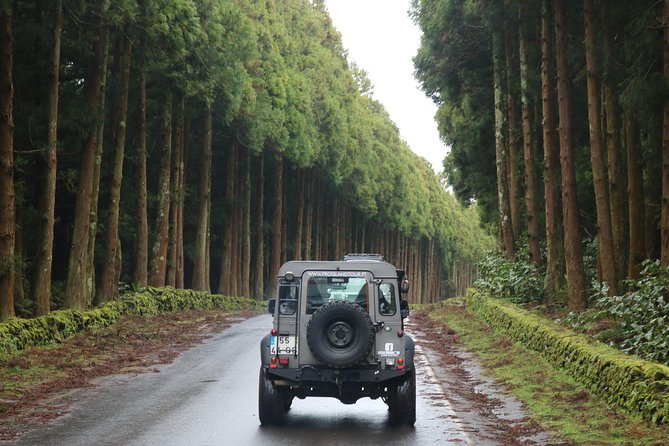 Half Day Terceira Island Tour by 4x4 - Customer Reviews