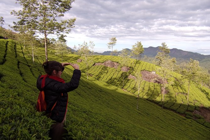 Half Day Trekking (Munnar Valley Trekking & Tours ) - Weather Considerations