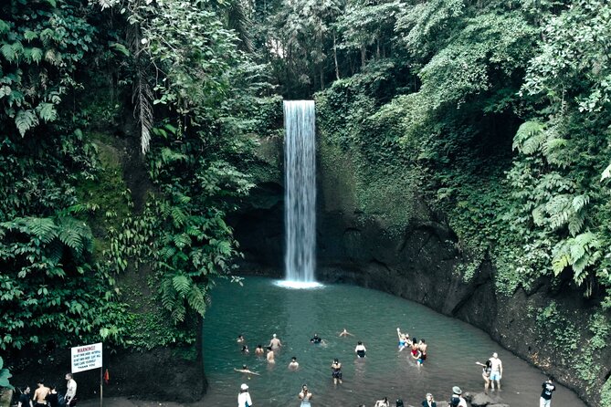 Half Day Ubud Waterfall Tour - Customer Reviews