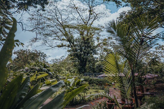 Hanging Bridges Walk in Arenal Volcano - Accessibility Features