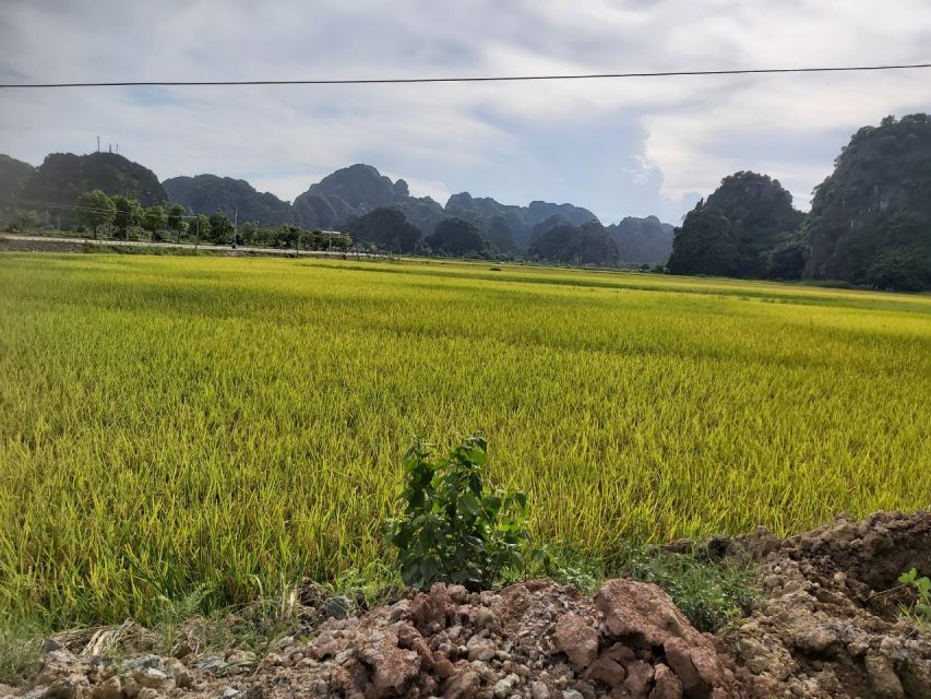 Hanoi - Hoa Lu and Tam Coc - Hanoi Full Day Tour - Travel Details