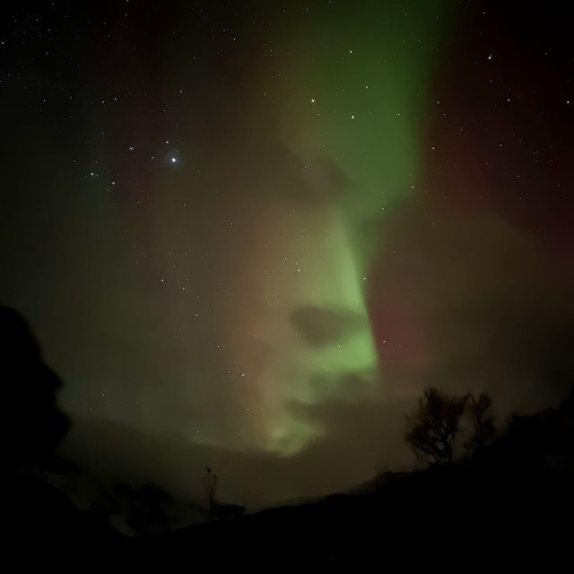 Harstad/Narvik/Tjeldsund: Northern Lights Sightseeing by Car - Transportation and Guide