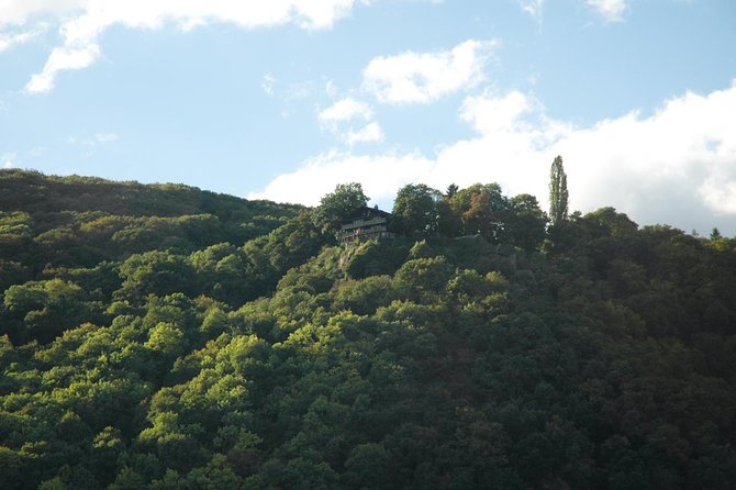 Heidelberg and Rhine Valley Day Trip With Wine Tasting and Dinner From Frankfurt - Inclusions and Amenities