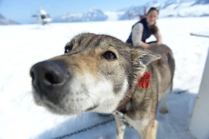 Helicopter Glacier Dogsled Tour + Lower Glacier Landing - ANCHORAGE AREA - Inclusions and Equipment