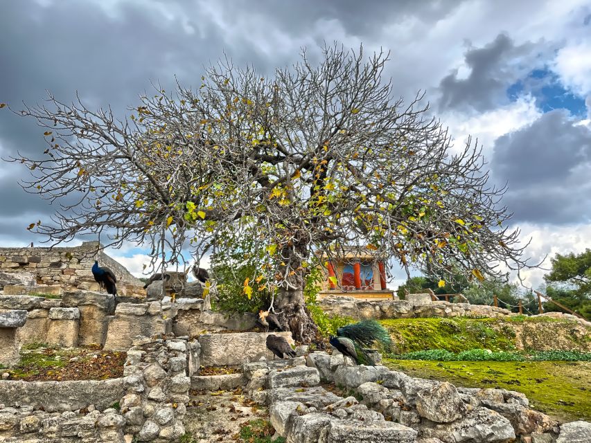Heraklion: Archeological Museum of Heraklion Entrance & Tour - Highlights of the Museum