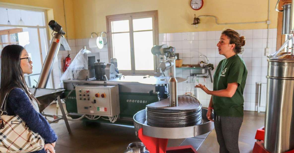 Heraklion Area: Secrets of Olive Oil and Wine Tasting Tour - Olive Oil Production Process