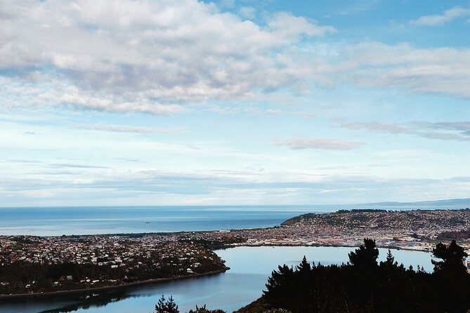 Heritage City and Larnach Castle Van Tour With Historian Guide - Scenic Stops Along the Way