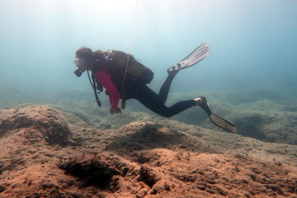 Hersonissos, Stalida: Beginner Scuba Diving Experience - Included Equipment and Gear