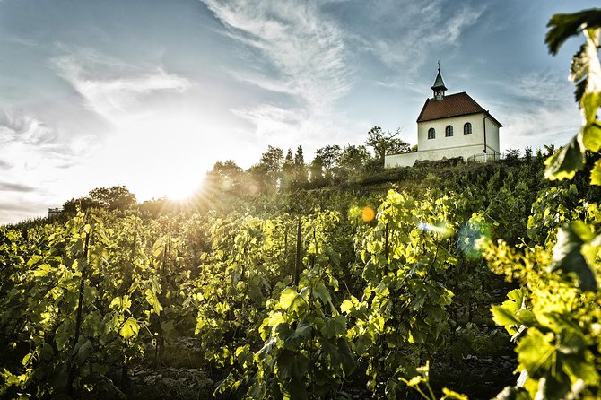 Hidden Vineyards and Private Winery Tour in Prague - Breathtaking Vineyard Vistas