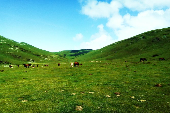 Hike the Heart of the Basque Country - Inclusions and Amenities