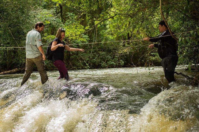 Hike Through Secret Waterfalls in Foz Do Iguaçu (Part-Time - Morning) - Tips for a Great Adventure