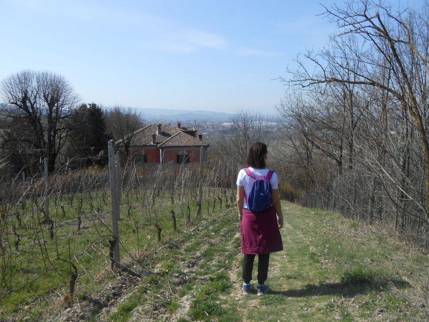 Hiking and Wine Tour Starting From Alba - Guided Experience