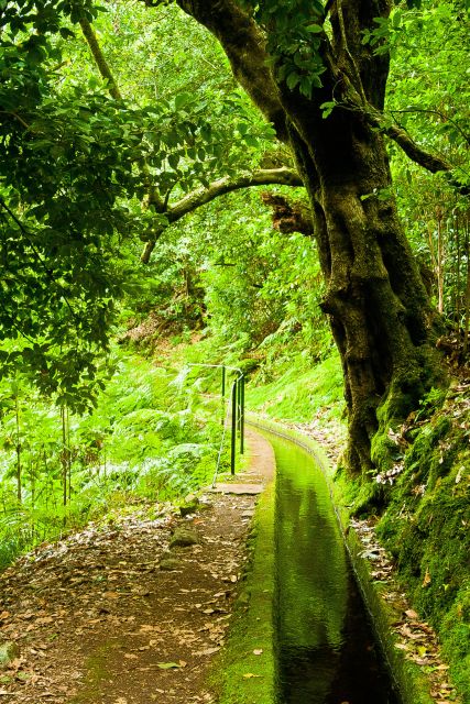 Hiking Levadas of Madeira: Levada Do Rei - What to Expect on the Hike