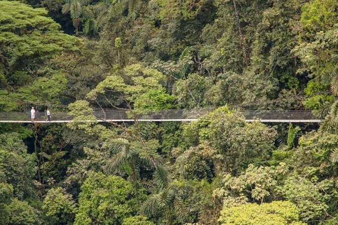 Hiking Lovers (Hanging Bridges + La Fortuna Waterfall + Volcano Hike) - La Fortuna Waterfall Adventure