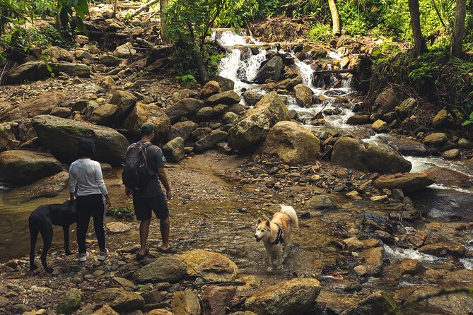 Hiking Medellin Green Connection - Tips for a Successful Hike