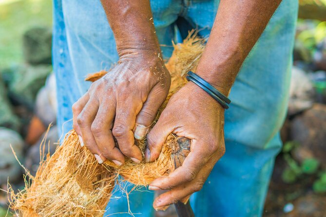 Historical 18TH Century Estate Tour With Coconut Tasting - Guided Tour Experience