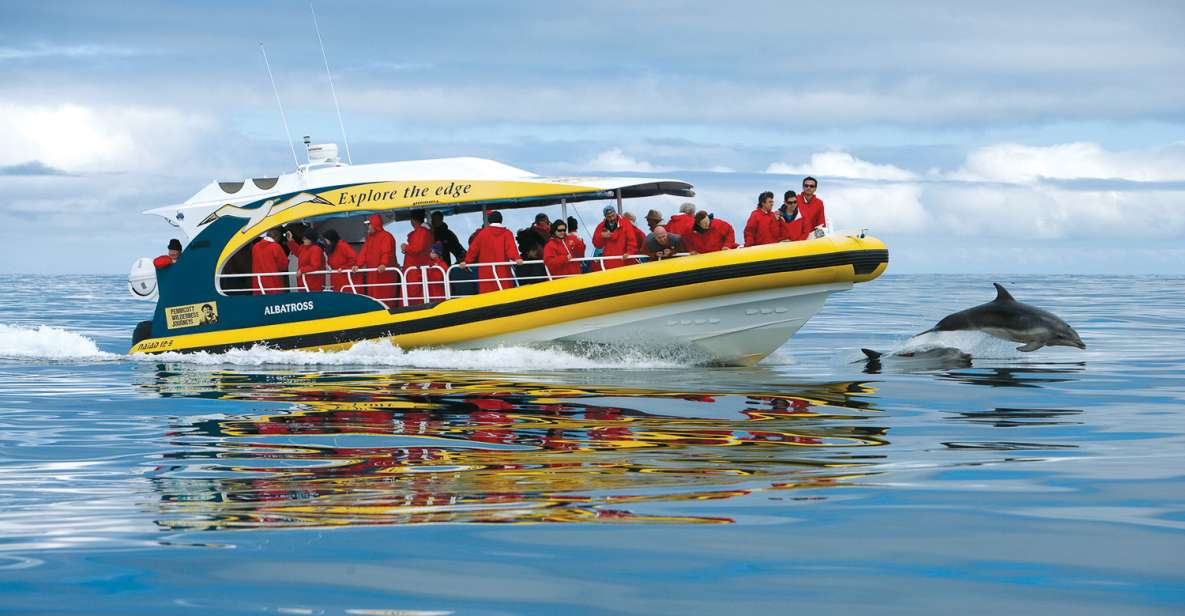 Hobart: Bruny Island Wilderness Coast Eco Cruise With Lunch - Important Information