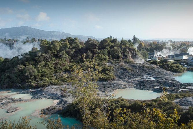 Hobbiton & Rotorua Living Māori Village Private Tour Ex-Auckland - Meeting and Pickup Information