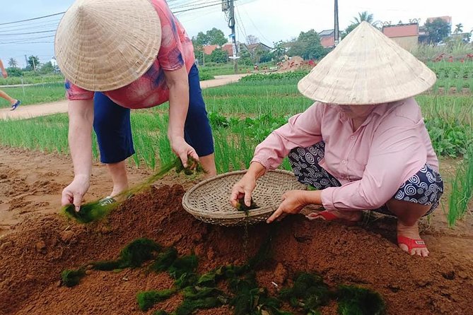 Hoi an Countryside Tour With Bamboo Basket Boat Rowing , Buffalo Ride, Farming - Accessibility Features