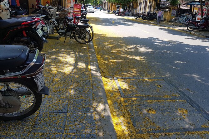 Hoi an Town Private Walking Tour With Boat Trip - Experience