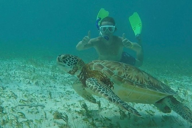 Hol Chan Full-Day Bucket List Snorkeling and Marine Life Tour - Special Offers and Pricing