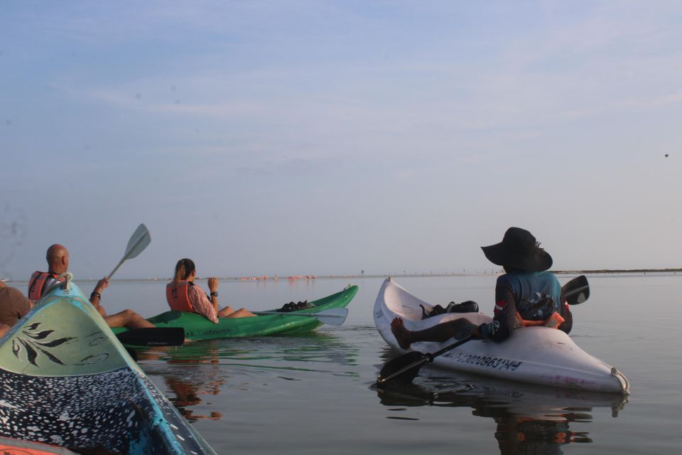 Holbox: Guided Sunrise Kayak Tour Through Mangrove Reserve - Inclusions and Exclusions