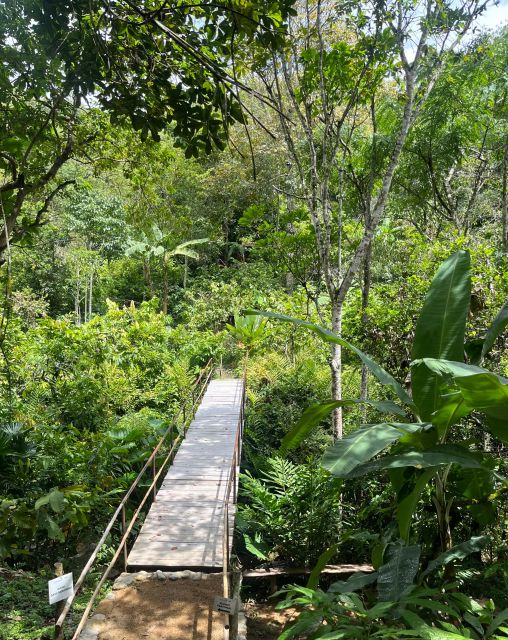 Holistic Retreat Cacao Cermony and Cacao Trail - Detailed Itinerary