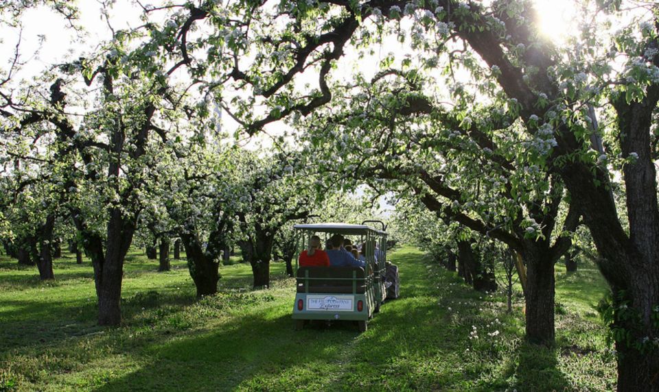 Hood River: Orchard Tour - Diverse Fruit Varieties