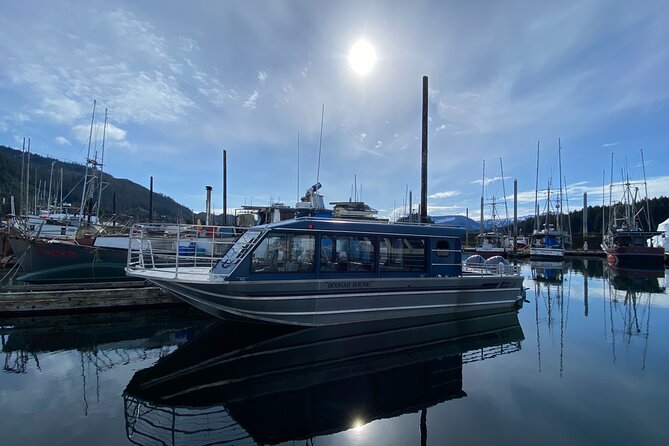 Hoonah Whale-Watching Cruise - Tour Experience Highlights