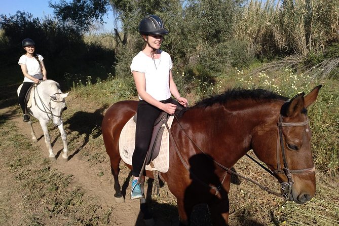 Horse Riding Excursion From Seville - Meeting Point Details