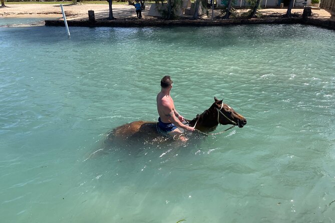 Horseback Ride and Swim Tour In Montego Bay - Participation Guidelines