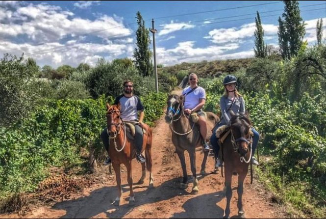 Horseback Ride Through Vineyards Followed by Gourmet Lunch - Reviews and Feedback