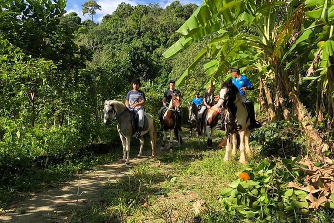 Horseback Riding 1 Hour Trail - Booking Information