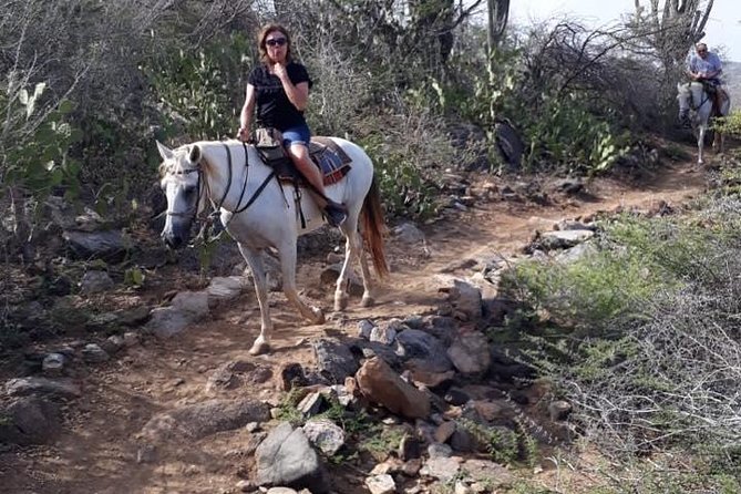 Horseback Riding 2 Hour SUNSET , Rock Formation / Countryside and Beach Ride - Customer Experiences