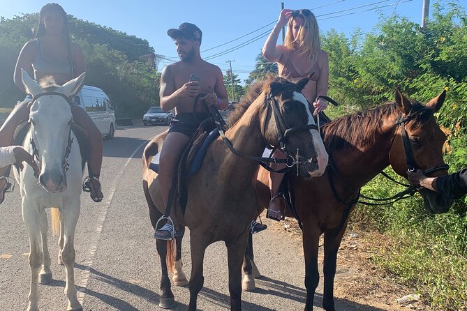 Horseback Riding + Bamboo River Rafting Tour From Ocho Rios - Pricing and Availability