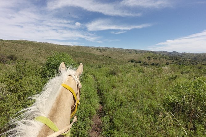 Horseback Riding Through the Sierras - Meeting and Pickup Details