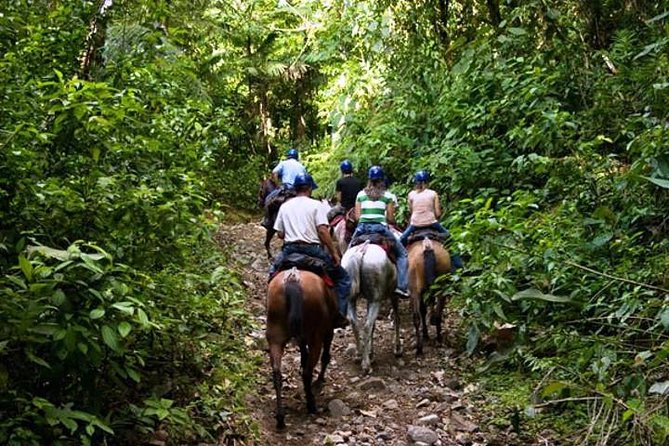 Horseback Riding to Conchal Beach From Tamarindo & Flamingo - Wildlife Sightings Along the Route