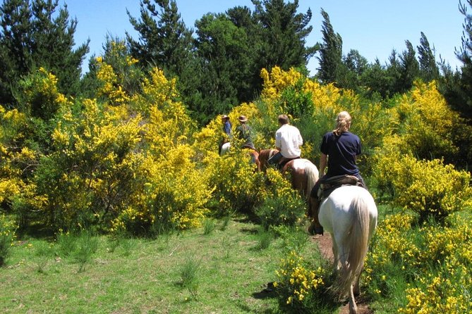 Horseback Trailride Excursion - Scenic Highlights