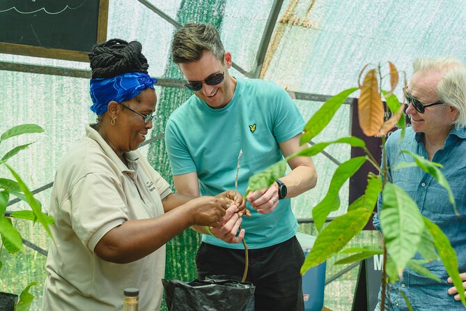 Hotel Chocolat: From Tree to Bar Tour With Tasting in St. Lucia - Meeting and End Point