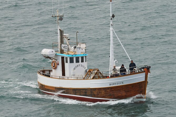 Husavik Family-Owned and Operated Whale Watching - Customer Experiences