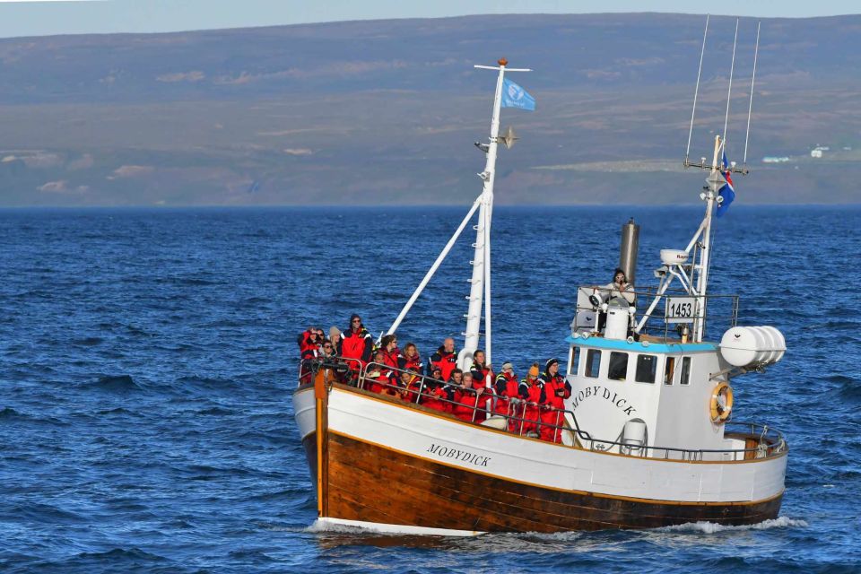 Húsavík: Family-Run and Guided Whale Watching Tour - Tour Inclusions and Safety