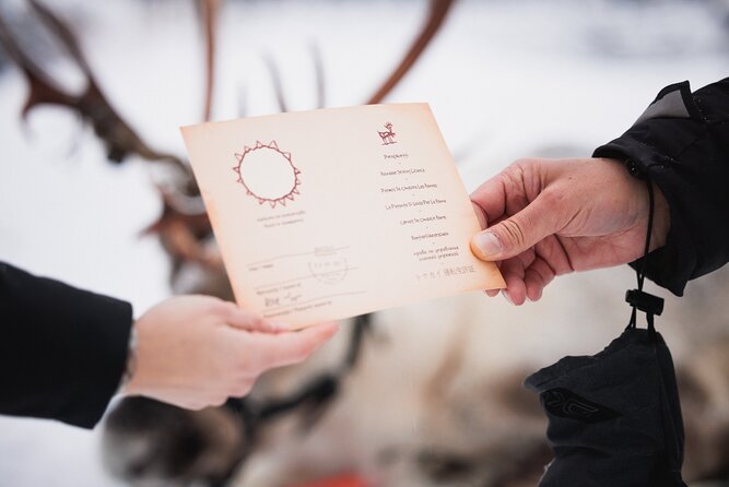 Husky, Reindeer Farm and Santa Village Experience - Areas for Improvement