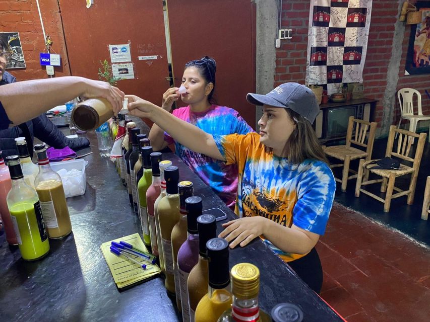 Ica: Pisco Route | Tacama, Arrabal, Bodega Lovera | - Booking Process