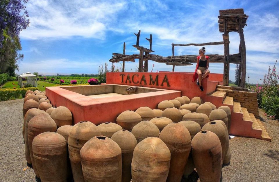 Ica: Pisco Wineries and Vineyards Day Tour - Highlights of the Tour