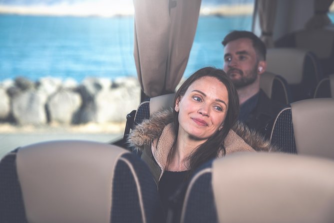 Iceland: Airport Transfers Between Keflavik and Reykjavik Hotels - Accessibility Features
